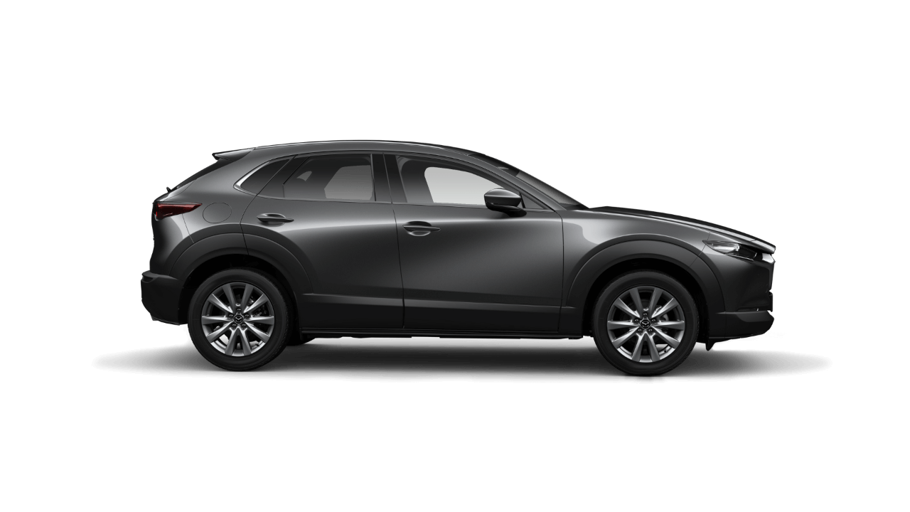 Cx 30 Rim4