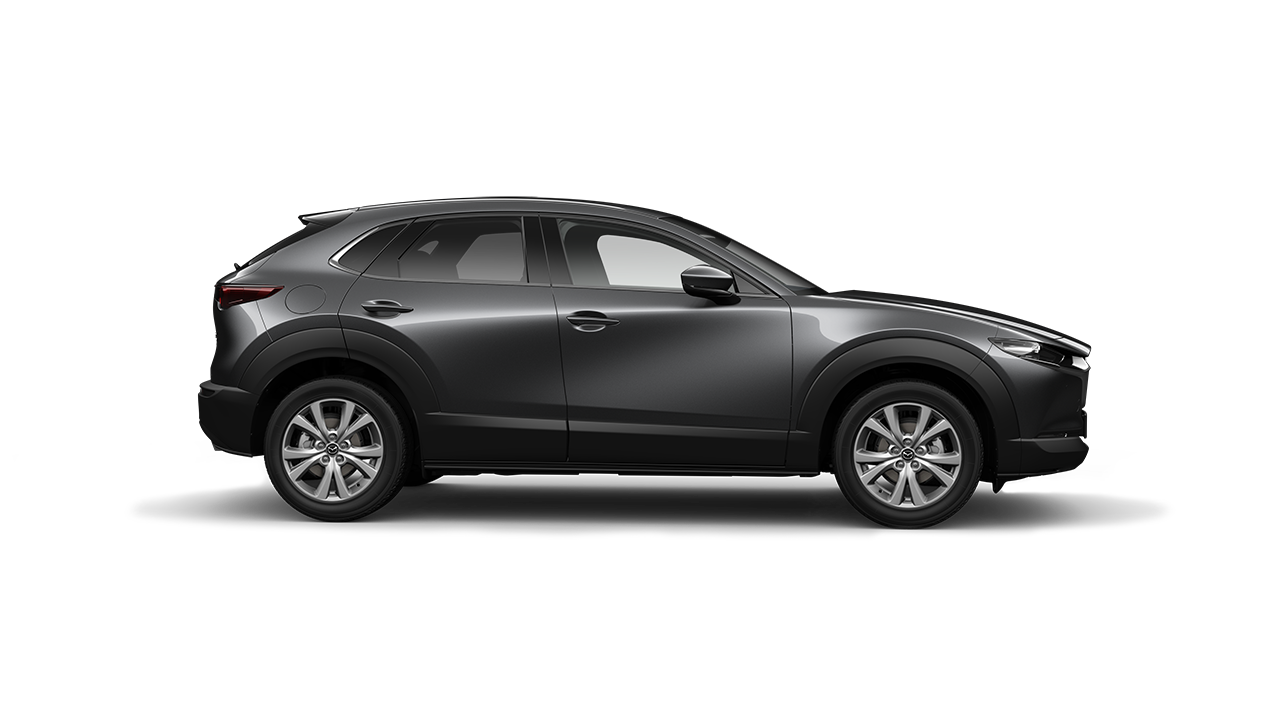 Cx 30 Rim5