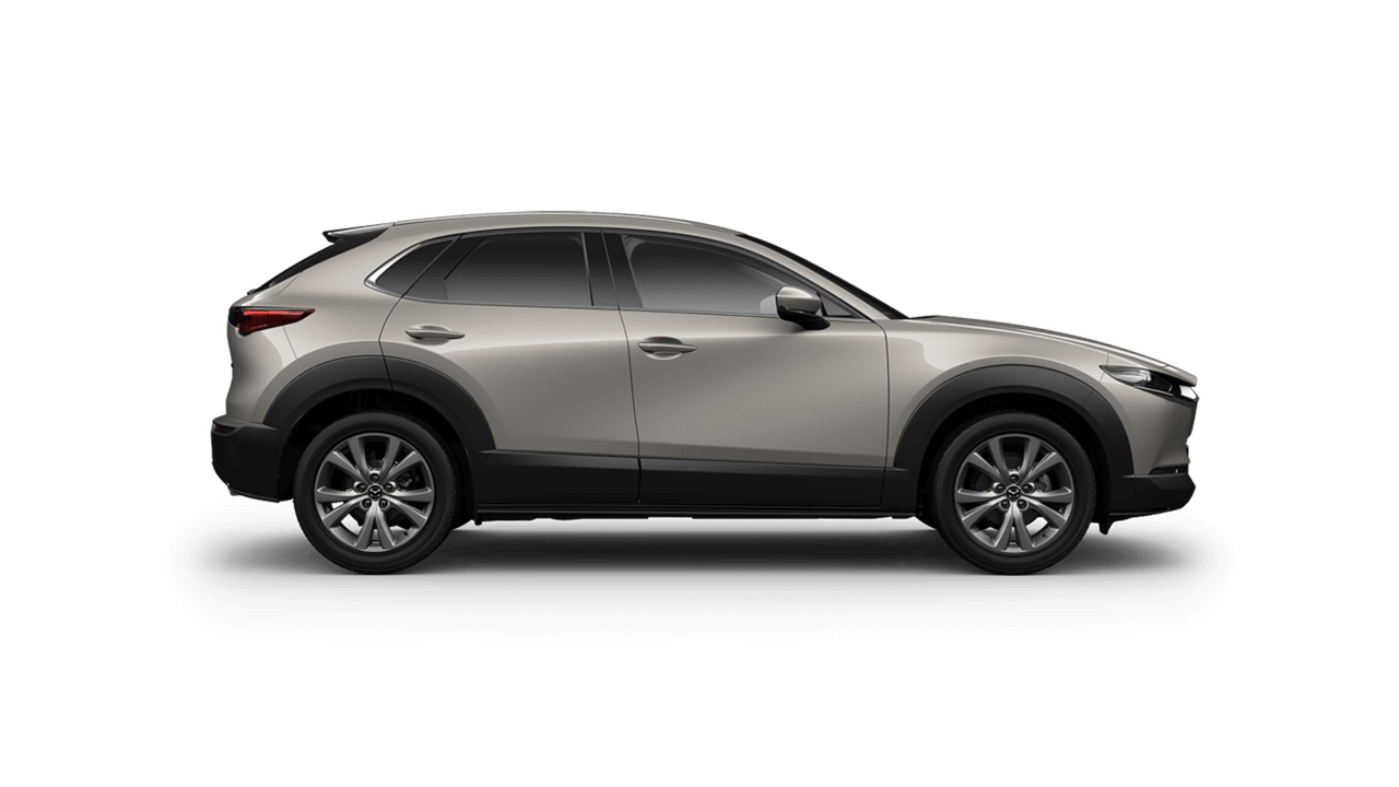 Web Cx 30 Platinum Quartz
